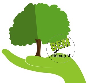 albero nel palmo della mano